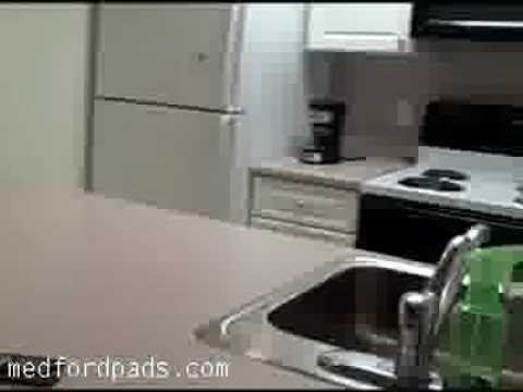 Nice apartment for rent in Medford MA