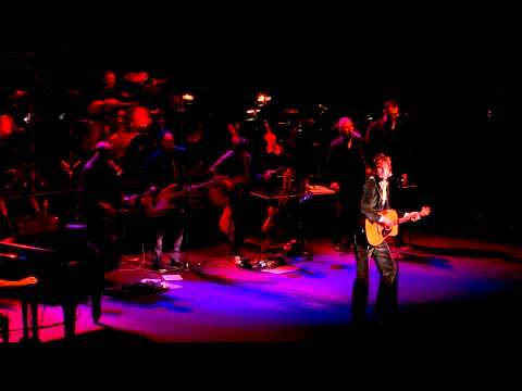 The White Album Concert - Revolution performed by Tim Rogers