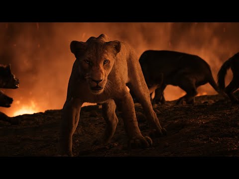 The Lion King 2019 - Fighting The Hyenas Scene I 4K Ultra HD
