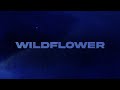 Billie Eilish - WILDFLOWER 💔 (lyrics)