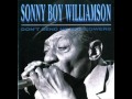 Jimmy Page, Sonny Boy Williamson II - One Way Out