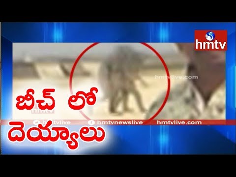 Real Devil Found in S.Yanam Beach | hmtv