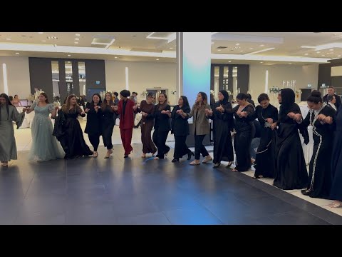 Grup Niwan ve MURO DZ - Ağır Halaylar 2025 - Almanya @ilhaniclek #murodz #halaylar2025