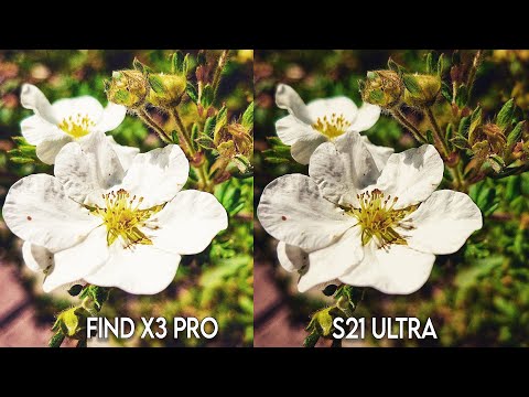 Oppo Find X3 Pro Vs Samsung S21 Ultra Camera Test
