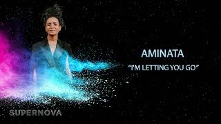 Musik-Video-Miniaturansicht zu I'm Letting You Go Songtext von Aminata