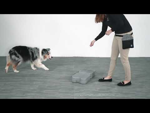 Demo