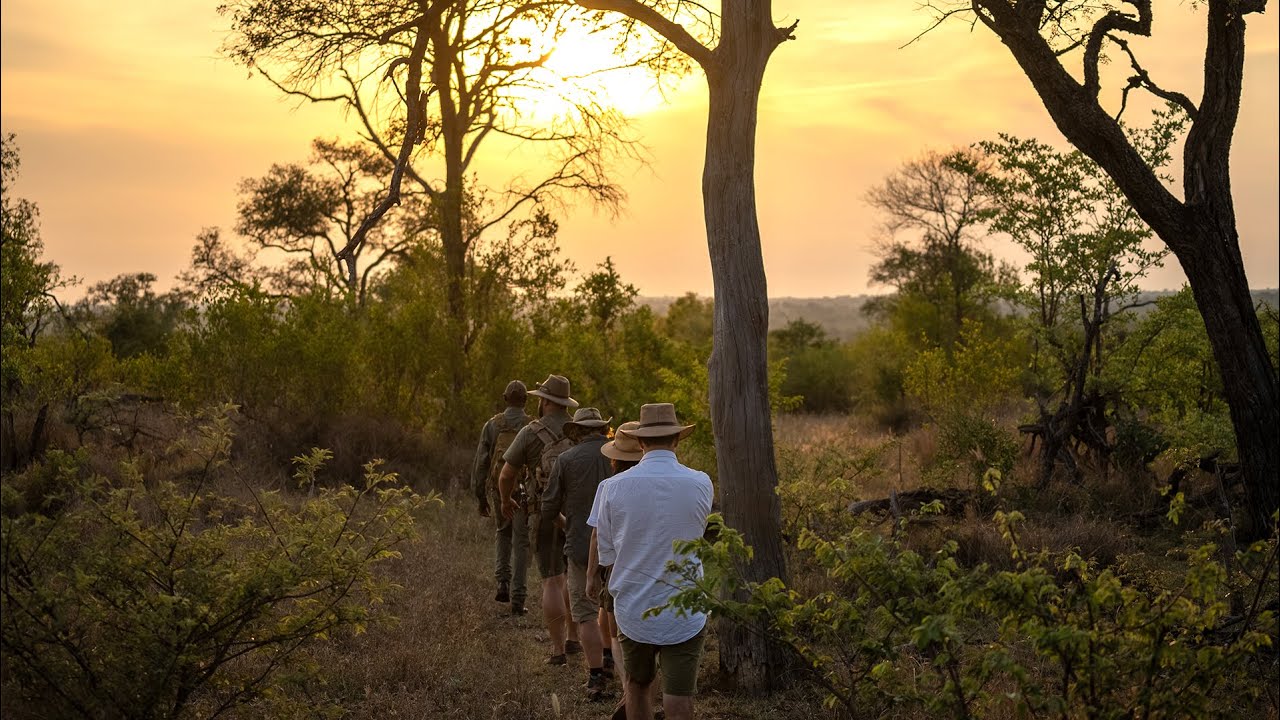 A Bush Walk Experience at Royal Malewane