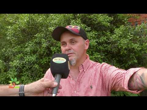 Pitaya en Misiones Sebastián Ferreyra Gdor López. Tecnificando el Agro