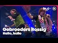 Gebroeders Rossig - Hallo hallo // Sterren NL Carnaval 2023