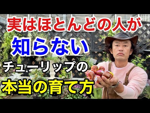 牡丹を鉢に植えて開花させるにはどうすればよいですか？  庭園