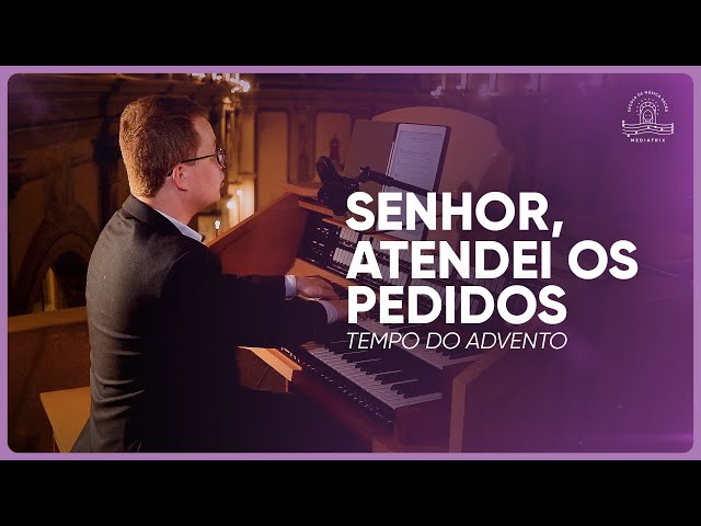Preview do vídeo