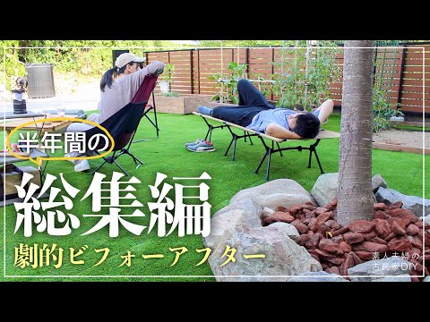 バルコニー用のプライバシースクリーンポットに植える – (最終的に) プライバシーを取り戻すための 8 つのアイデア  庭園