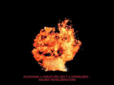 ACIDMANE x CREATURE SECT x GRIMMJØW - ANUBIS REINCARNATION