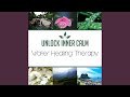 REM Deep Sleep Inducing (Dream Zither & Faery Harp)