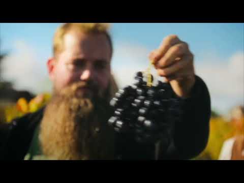 Château La Tulipe heeft een nieuwe naam: Château Gort & Gort!