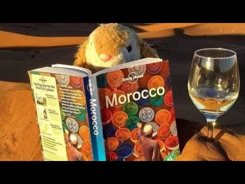 Hollywood lets travel to morocco 🇲🇦 #your#Morocco#Tours #المغرب#maroc#marrakech#