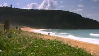 Ausmuteants - Coastal Living (unofficial lyric video)