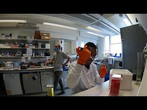 Running EMSA Experiment