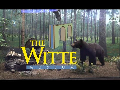 Day at Witte Museum - San Antonio, 4k Video