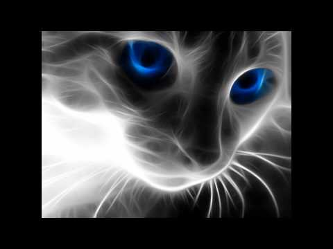 Marco Bailey - This is my Groove