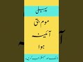 Urdu Riddle میں جل کر روشنی دیتی ہوں Silent Puzzle For Kids Adults