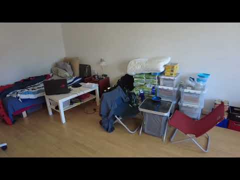 MongoTV_7023 - HVAD JEG SER PÅ NETFLIX - Del 609 - Star Trek - 1968