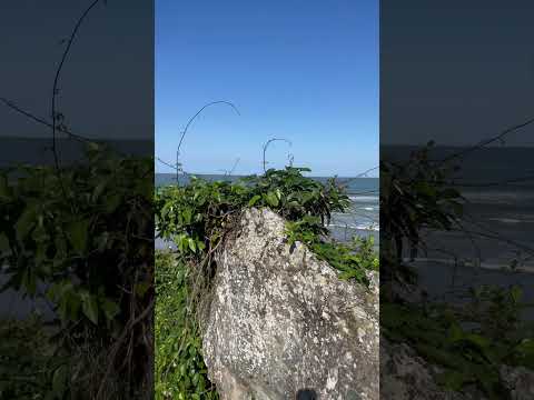 Top 10  praia da atalaia cidade de Itajai Santa Catarina