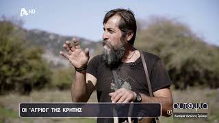 Αυτοψία | Οι “άγριοι” της Κρήτης - 24/11/2022 Αυτοψία | Οι “άγριοι” της Κρήτης - 24/11/2022