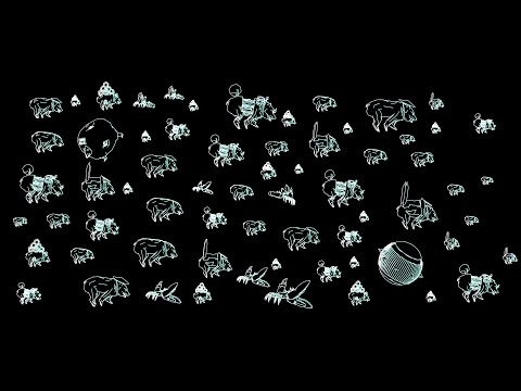 Bear Avalanche - Combat Drift