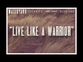 Matisyahu - Live Like A Warrior (Spark Seeker ...