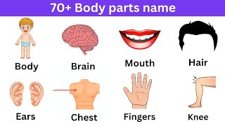 Parts of our Body | English Vocabulary | Name in English with Pictures Fun learning