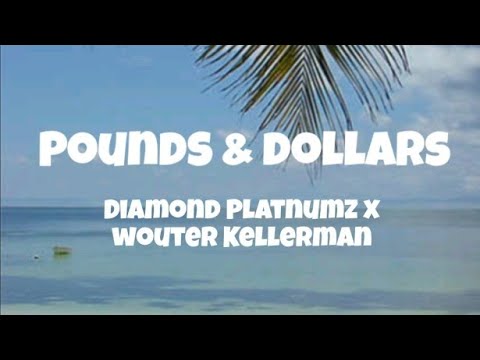 Diamond Platnumz - Pounds and dollars feat. Wouter Kellerman ( Lyrics video)