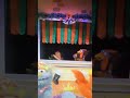 Rooster Puppet Having A Stroke