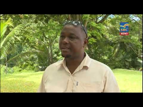 7 p.m News 14-11-2020