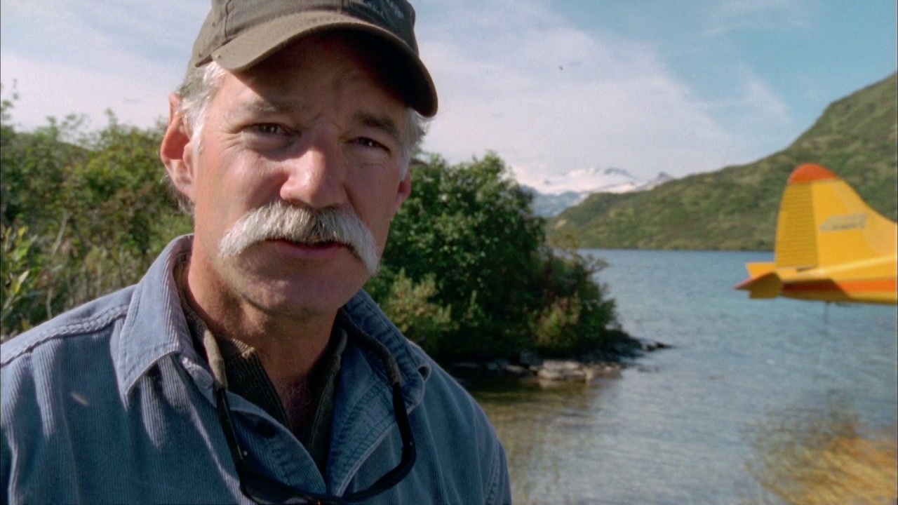 Grizzly Man