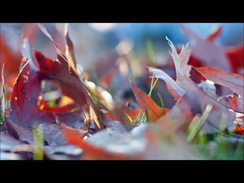 Fabri Lopez: Heavenly Air (Original Mix)