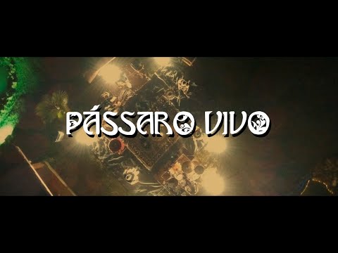 Clariô - Pássaro Vivo