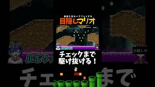 見ずに中間まで行け・・・【目隠しマリオ】