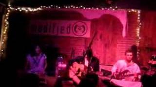 Miniature Tigers - Dino Damage