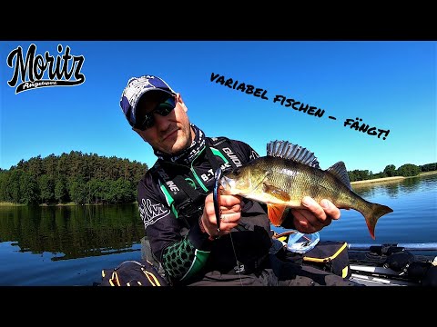 Flexibel mit dem Belly