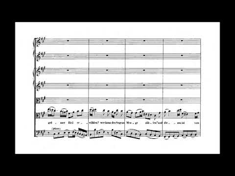 SP's score videos
