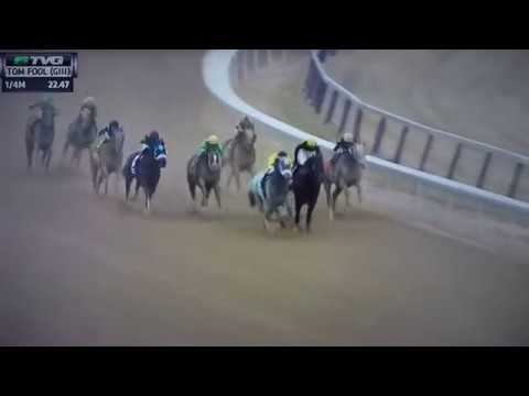 TOM FOOL (G 3) STAKES 3/10/18 - SKYLER'S SCRAMJET !!