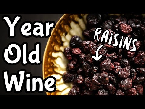 Raisin Wine One Year Tasting - Any Better?