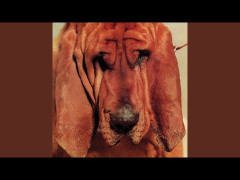 Fine - Ty Segall