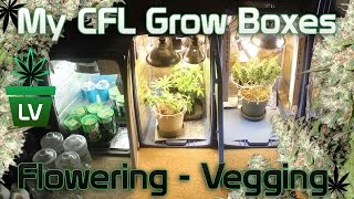 CFL Grow Box for Vegging and Flowering