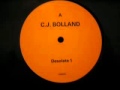 C.J. BOLLAND - DESOLATE 1 