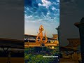 Lo Sambhalo Bhole Apni Kawar Status Ll Baba Mahakaal Status Ll Savan Ll Ujjain Darshan
