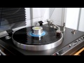 Samantha Fox - I Only Wanna Be With You (Vinyl Extended Mix)