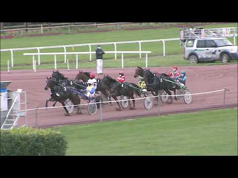 Avenches/29.10.2020/Derby du Trotteur Français