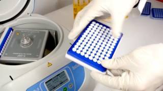 Wirówko-worteks CVP-2